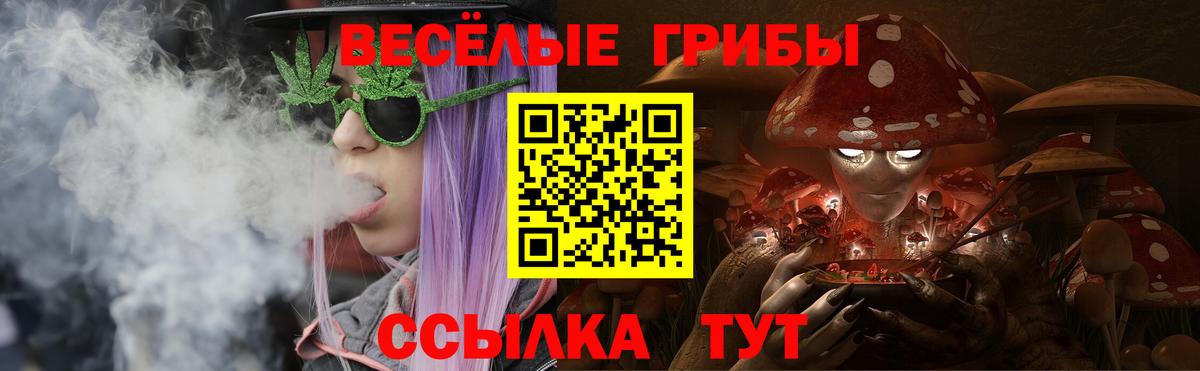 Галлюциногенные грибы MAGIC MUSHROOMS  как найти закладки  Кизилюрт  Вход с VPN 